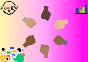 PVAVIEW
